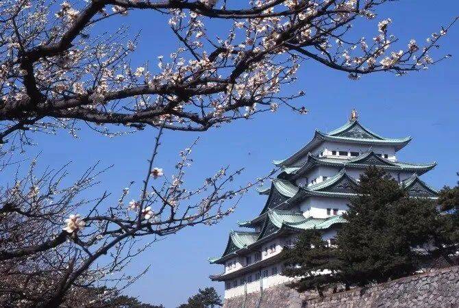 名古屋vs广厦，两个看似不搭边的城市，一场关于文化与热血的隐秘共鸣